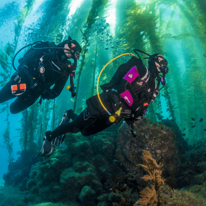 advanced open water diver brothers diving