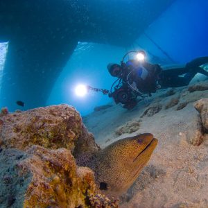 Digital Photographer Specialty at Brothers Diving Gran Canaria